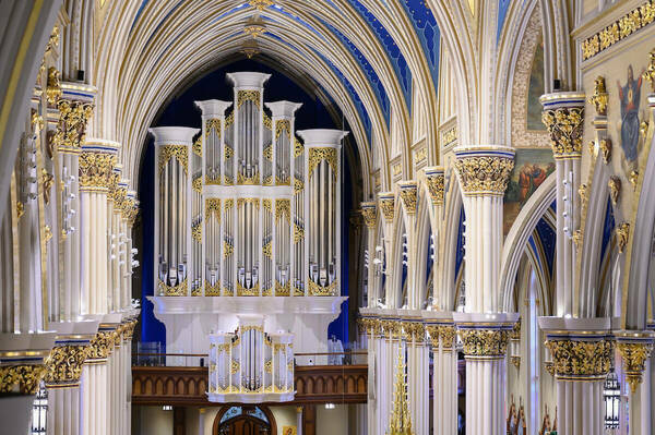 Basilica Organ