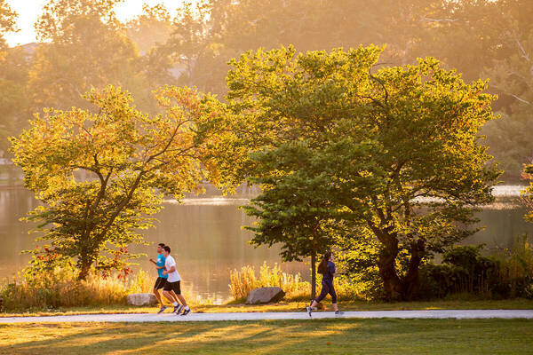 Runners jog along the lake. Full and bloomed trees line the path and lake.