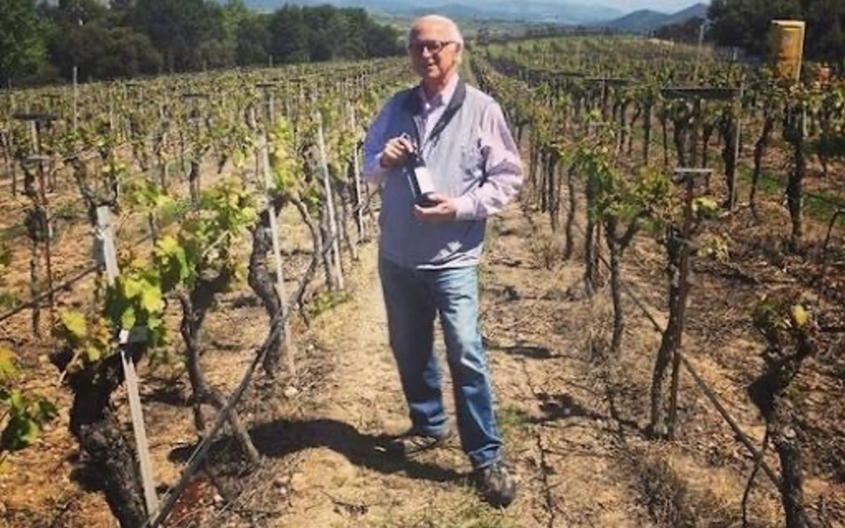 Louis Lucas in the vineyard