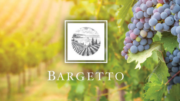 Bargetto in vineyard setting